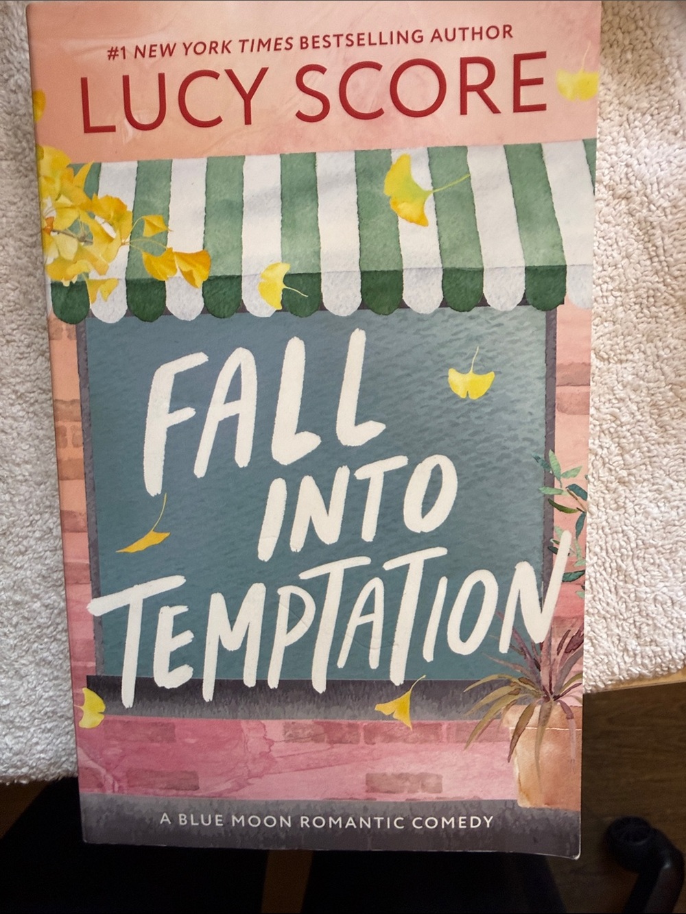Book cover - not party supplies